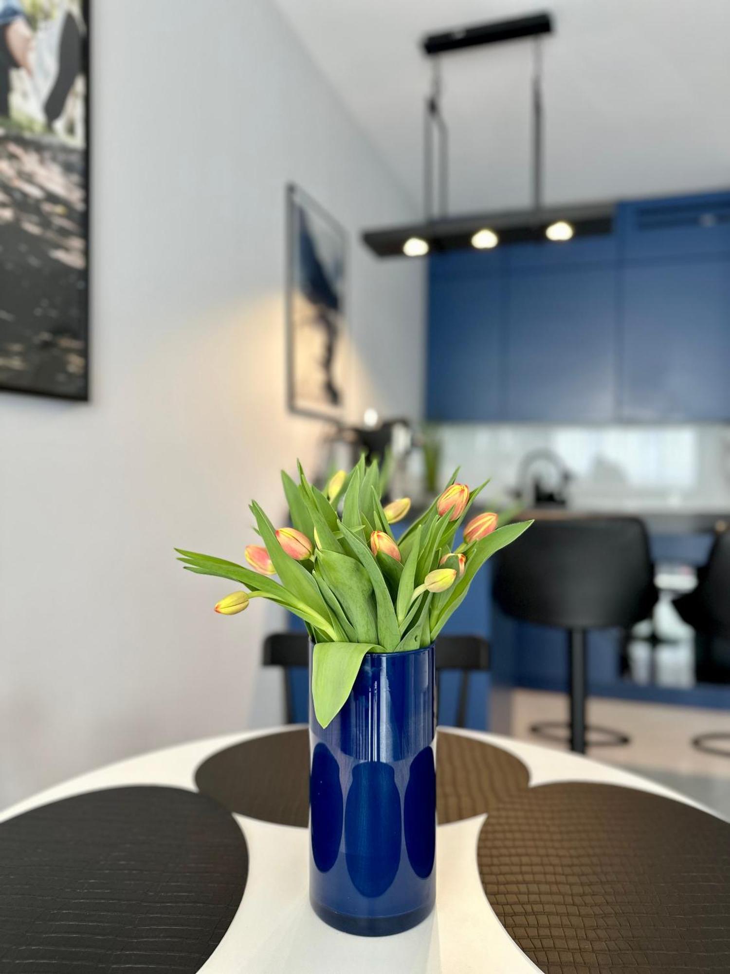 Blisko Gor Szyndzielnia Apartment บีเอสโก-เบียวา ภายนอก รูปภาพ