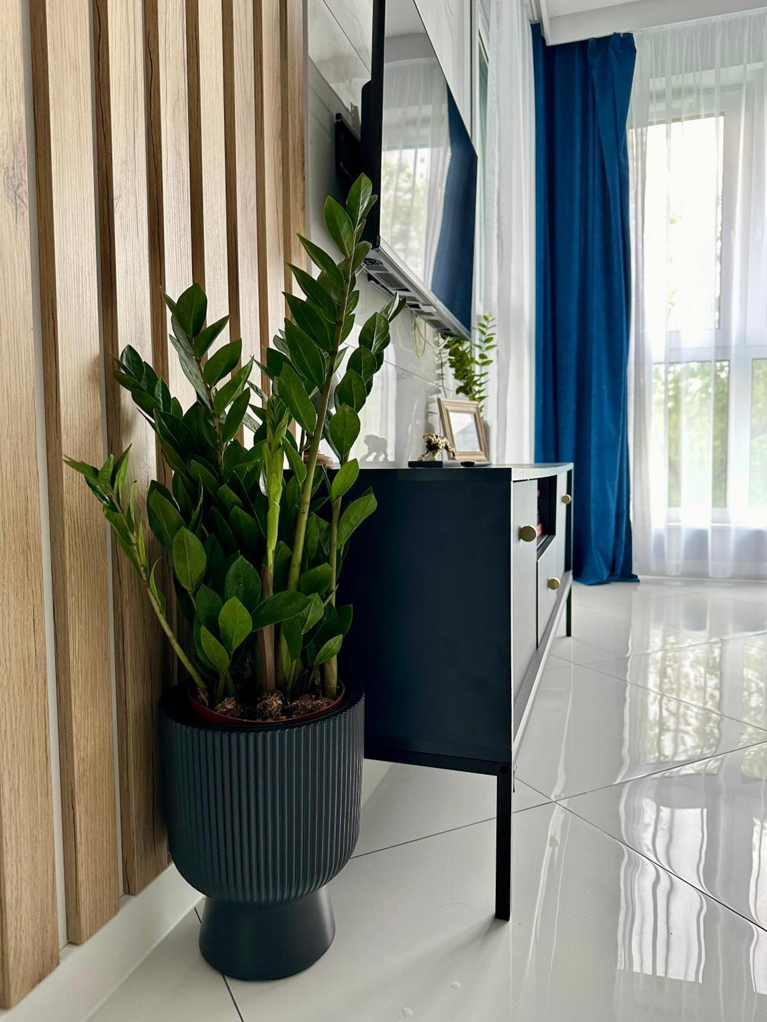 Blisko Gor Szyndzielnia Apartment บีเอสโก-เบียวา ภายนอก รูปภาพ